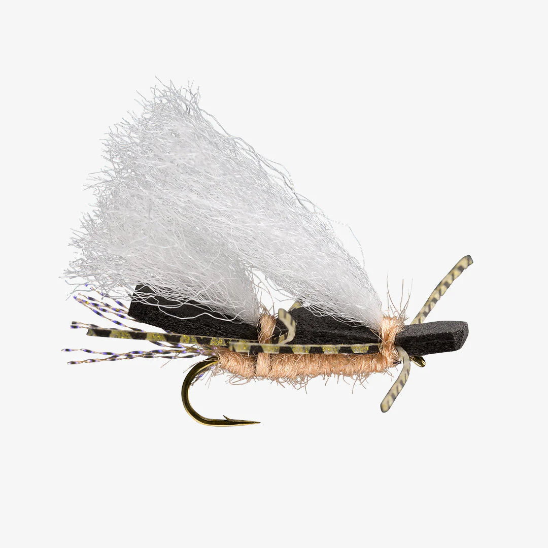 Rio Dozen Count Flies