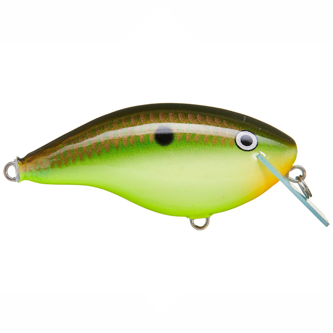 Rapala OG Big Rocco 6 Squarebill Crankbait in green and yellow with black spots, featuring a clear diving lip and realistic eye design for effective fishing tackle use.