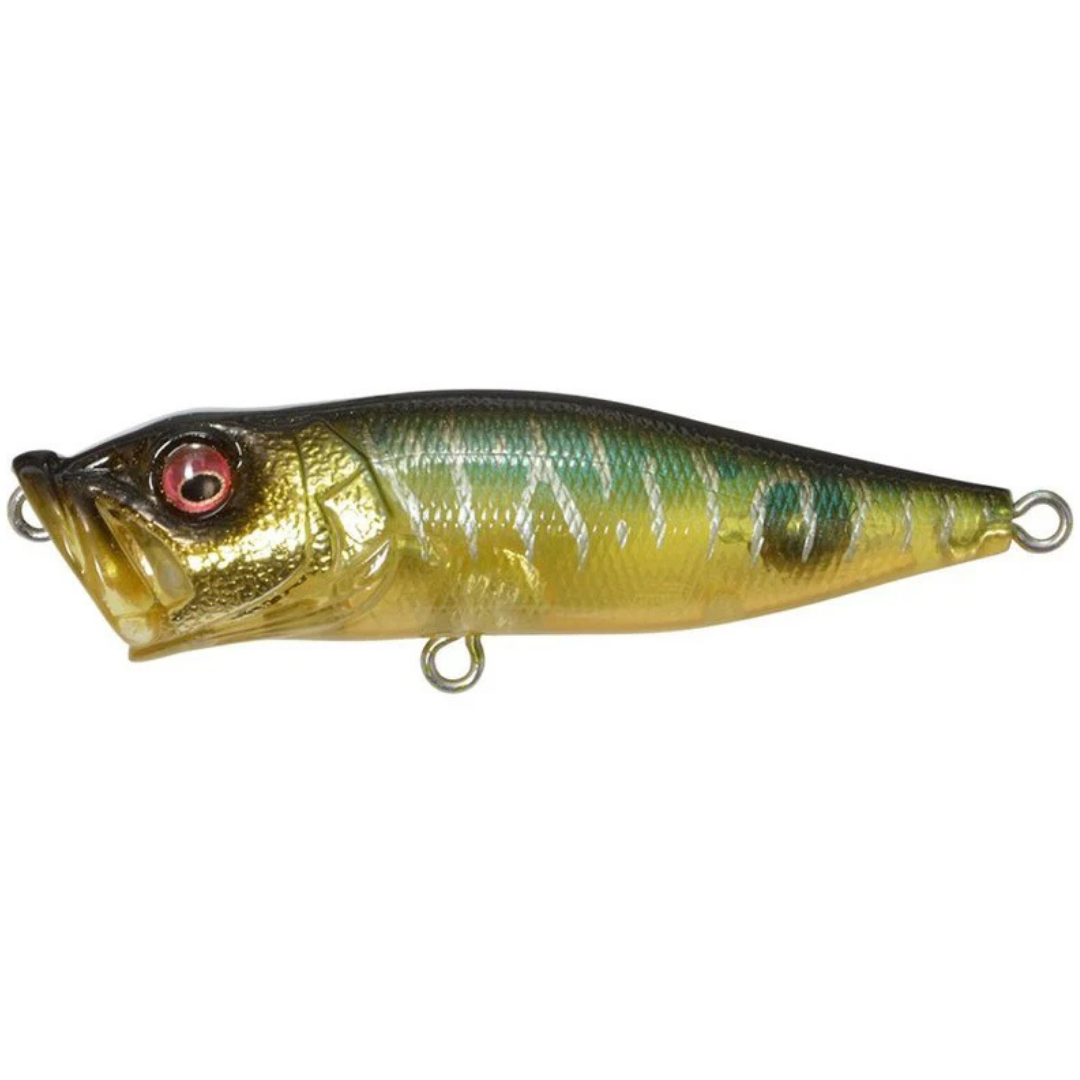 Megabass Pop-X