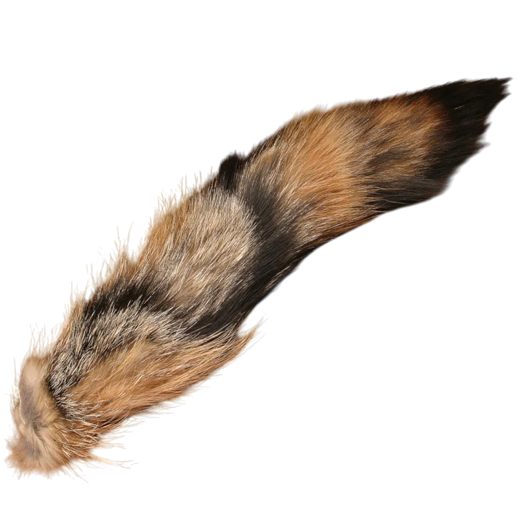 Coyote Tail - Complete (Whole)