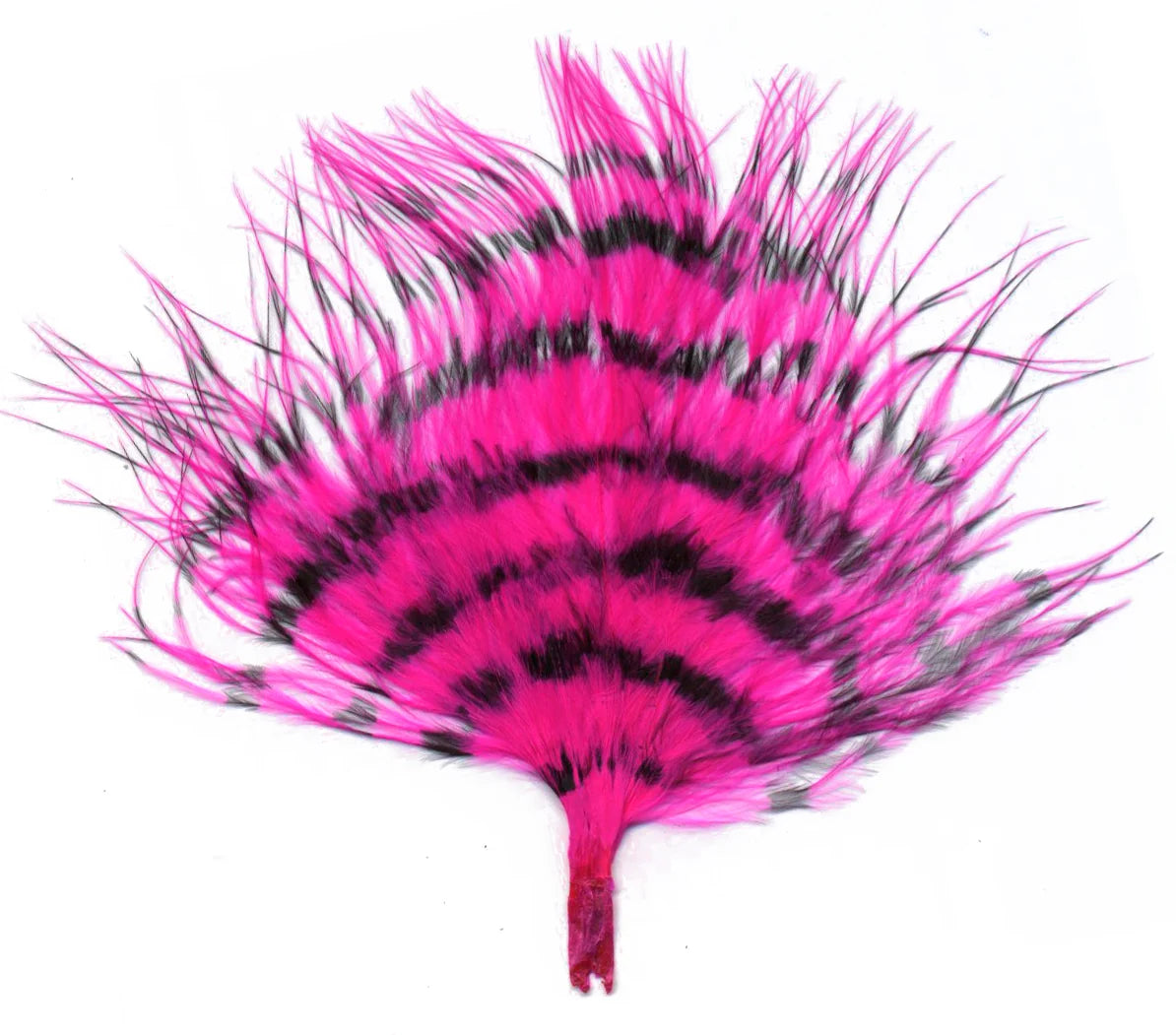 Marabou Brothers Barred Marabou Large with bright pink and black barred feathers for custom fishing lures and musky tackle