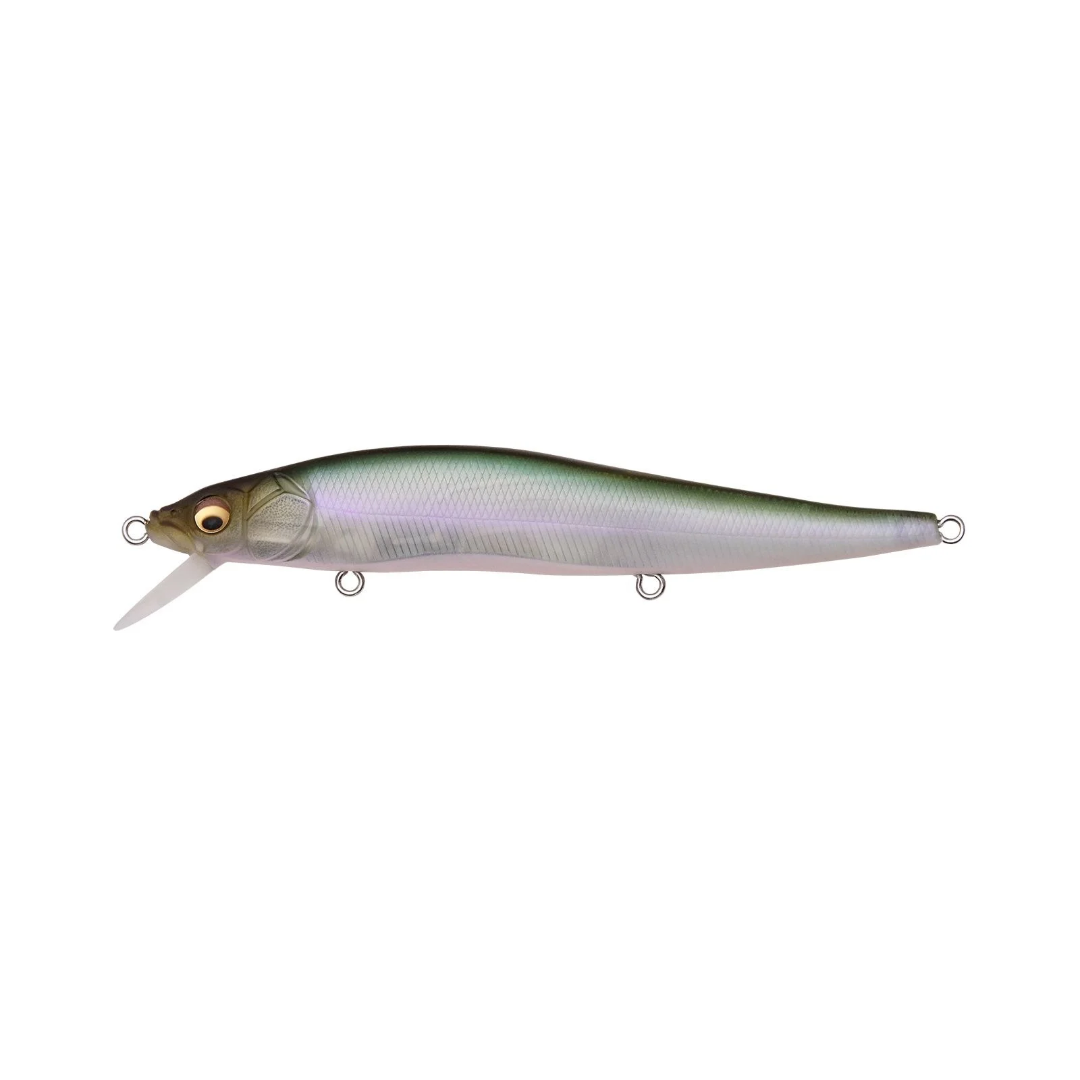 Megabass Vision 110