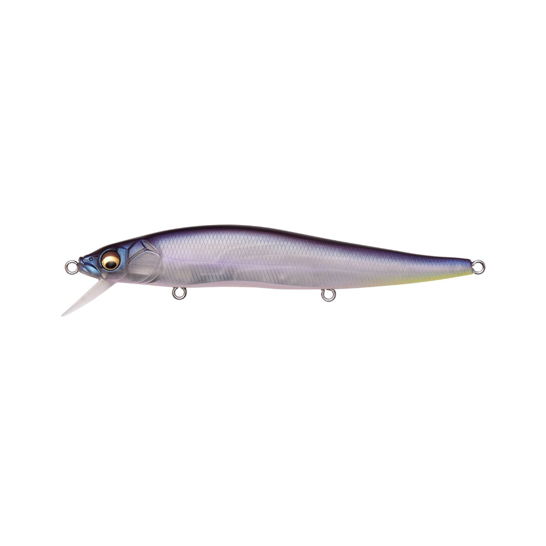 Megabass Vision 110
