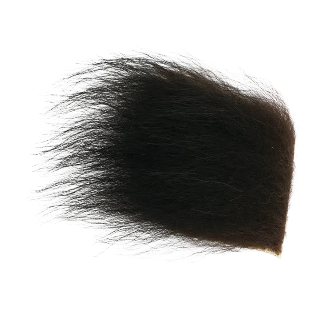 Wapsi Black Bear