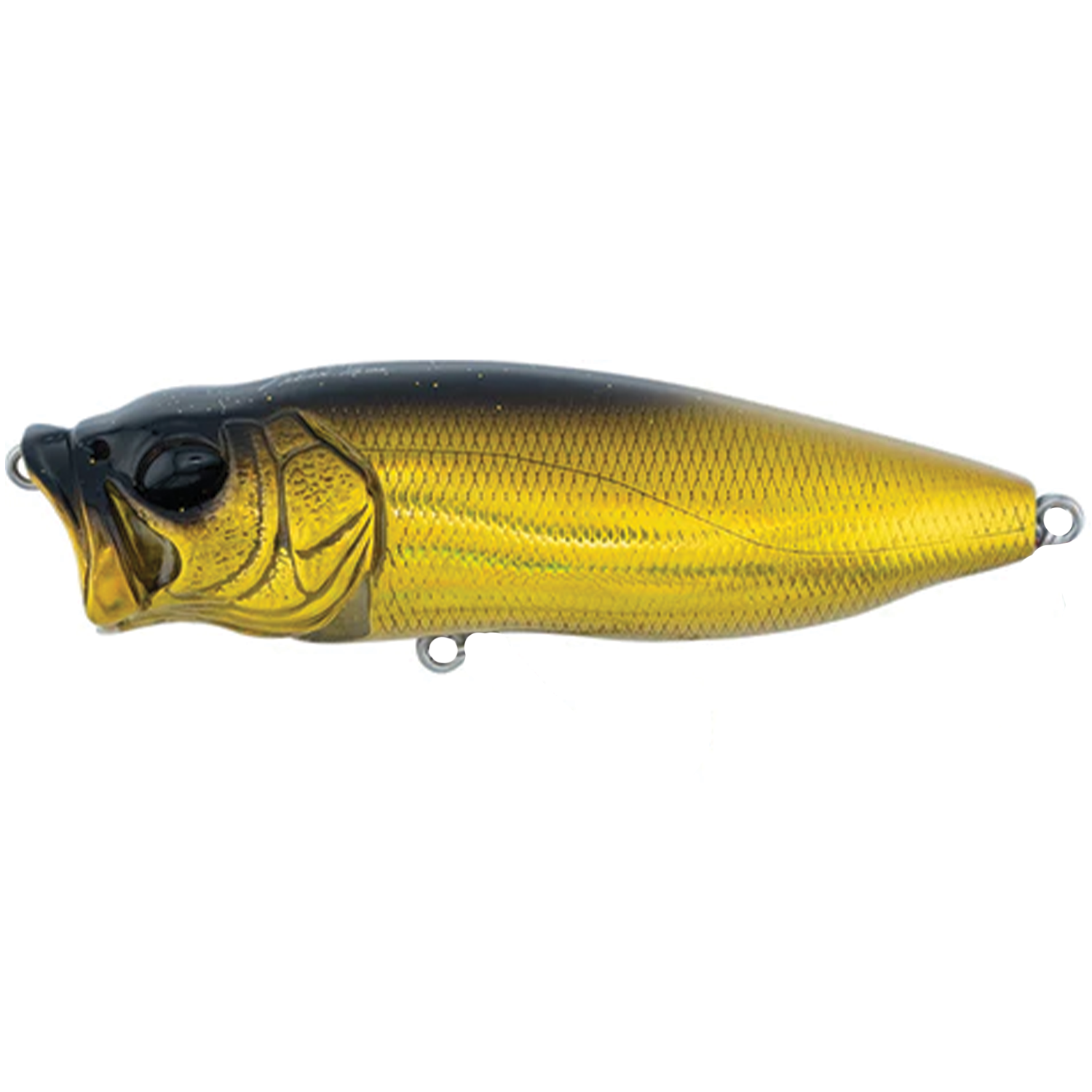 Megabass Pop-X