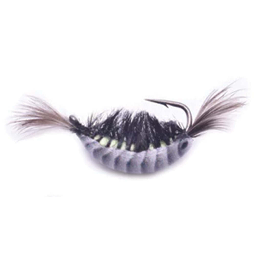 Kenders Natural Shrimp Series Tungsten Jigs