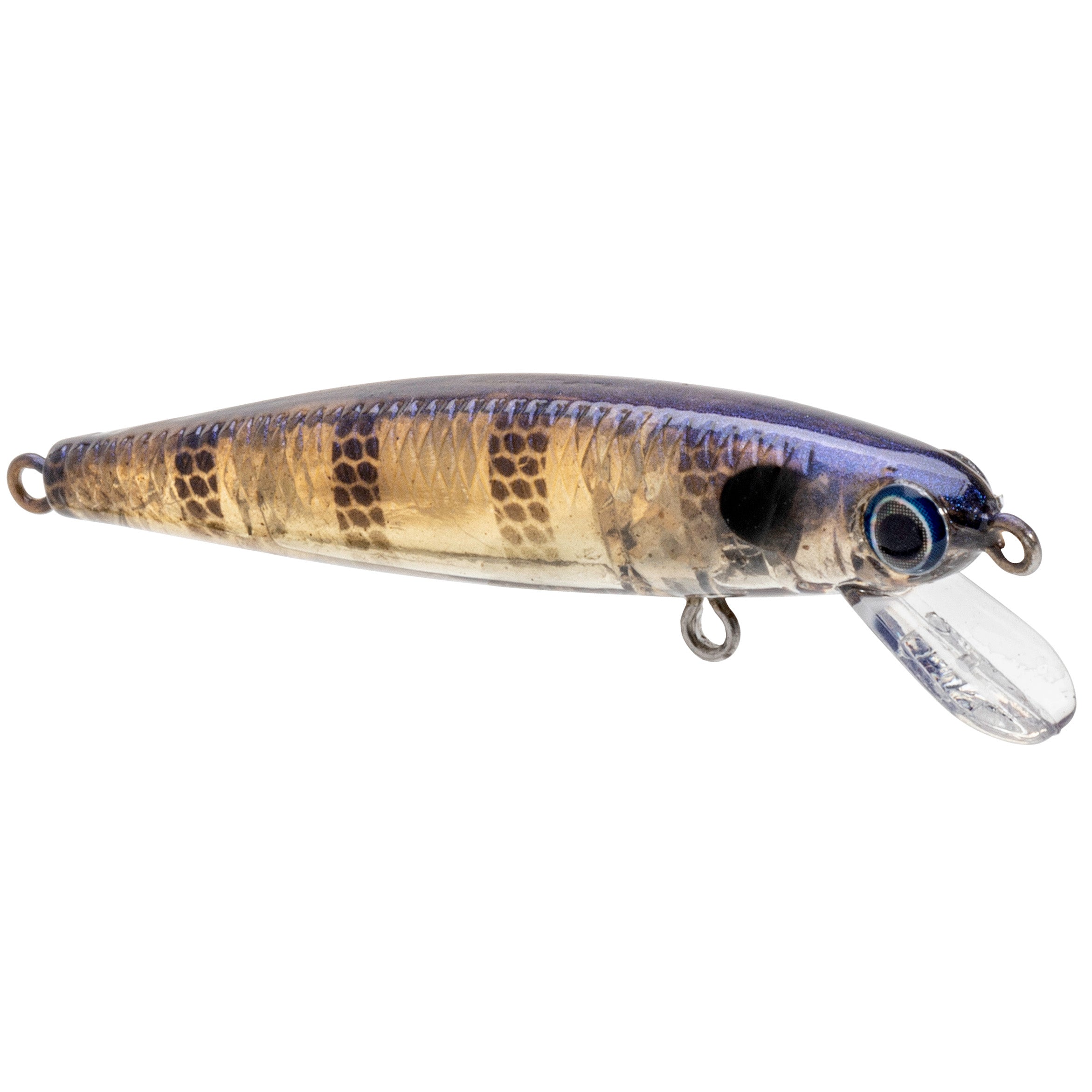 Strike King Bitsy Jerkbait