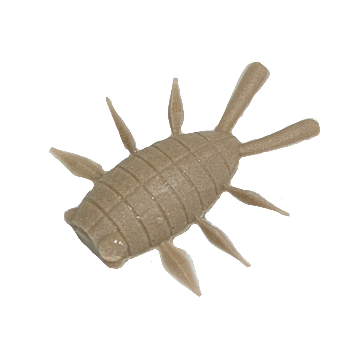 YG.Labo Witch Bug (Floating)