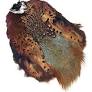 Wapsi Ringneck Pheasant Skin