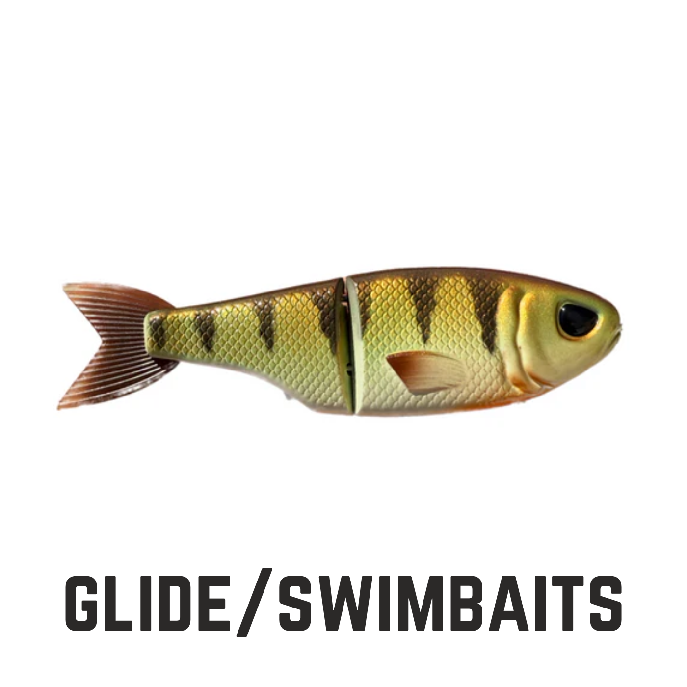 Custom perch swim bait with text overlay glide/swimbaits