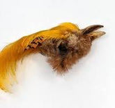 Wapsi Golden Pheasant Crest