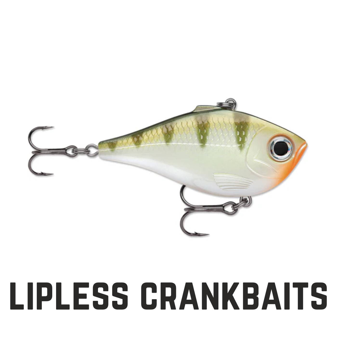 perch colored crankbait with text overlay lipless crankbaits