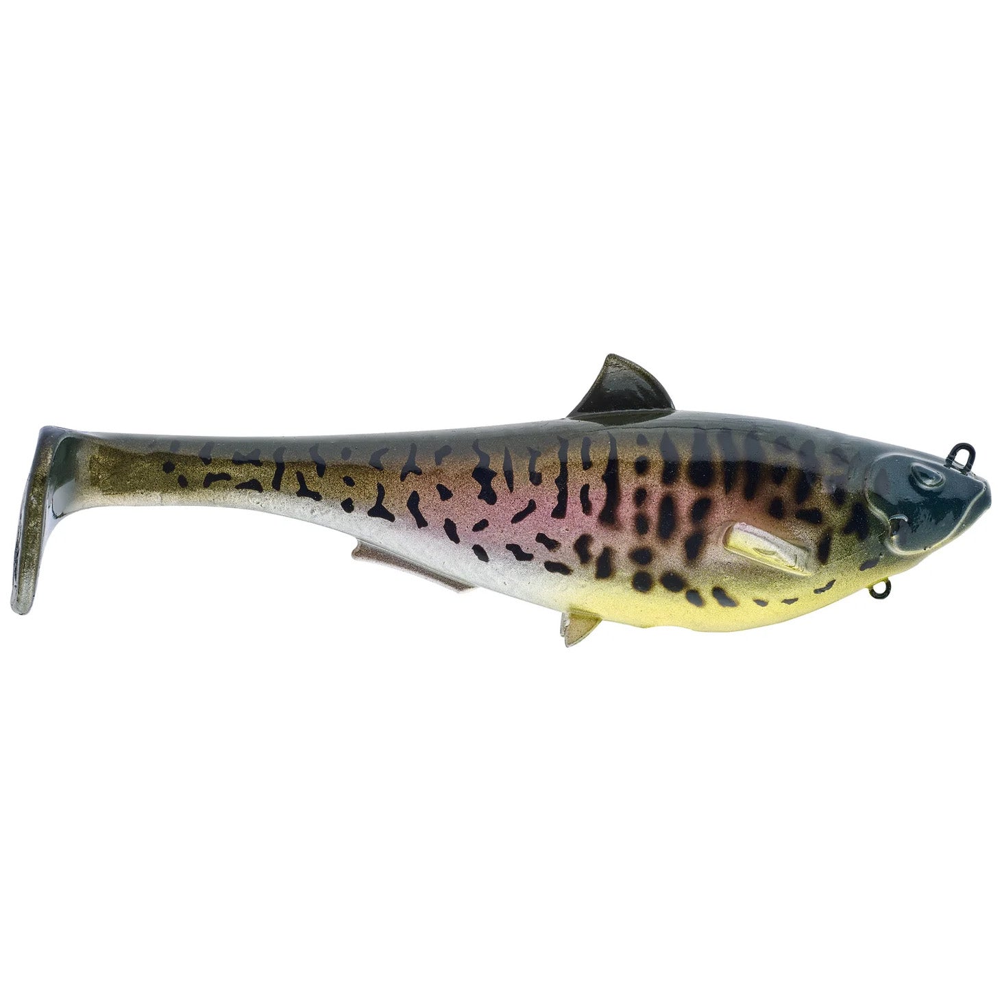 SPRO 6" Megalojohn Swimbait
