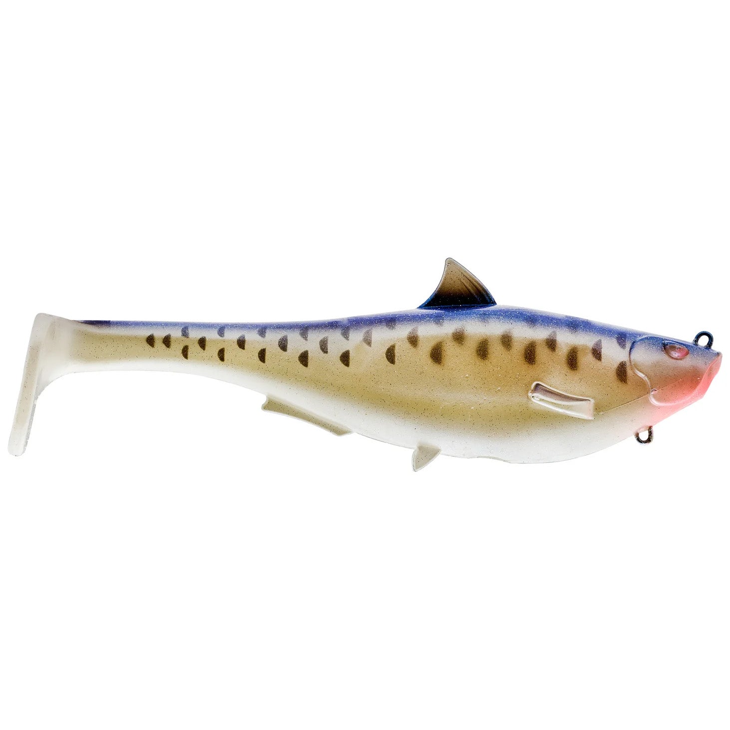 SPRO 6" Megalojohn Swimbait
