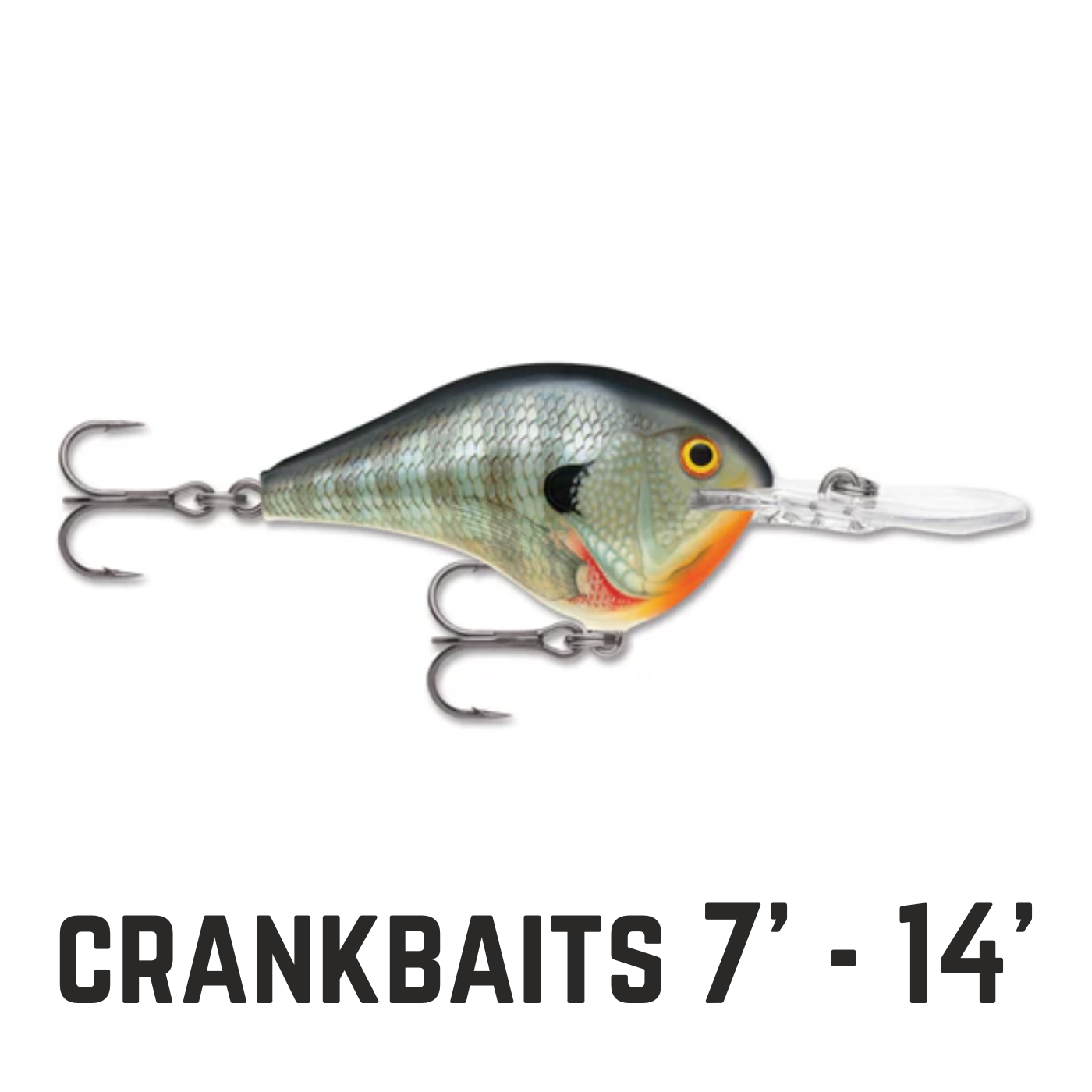 bluegill crankbait with text overlay crankbaits 7' - 14' 