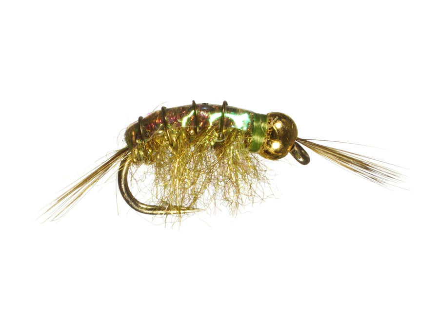 Close-up of a detailed BH Scud #14 fly fishing lure featuring an olive and gold body with fine synthetic fibers and a small metallic bead head designed for freshwater fishing.