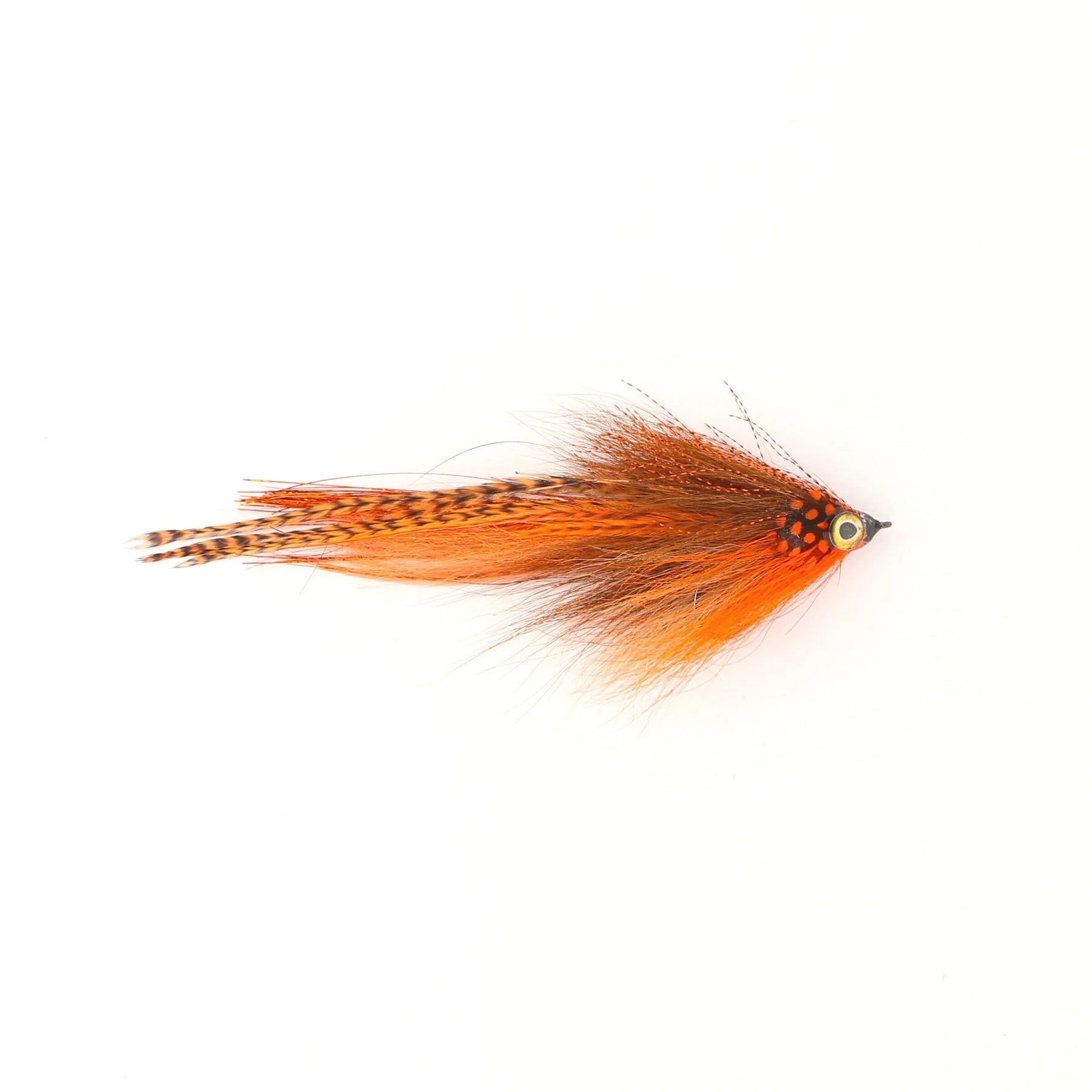 Single Minnow Urban Fly Co. fishing lure featuring vibrant orange feathers with black spotted accents, designed for fly fishing and musky tackle enthusiasts.