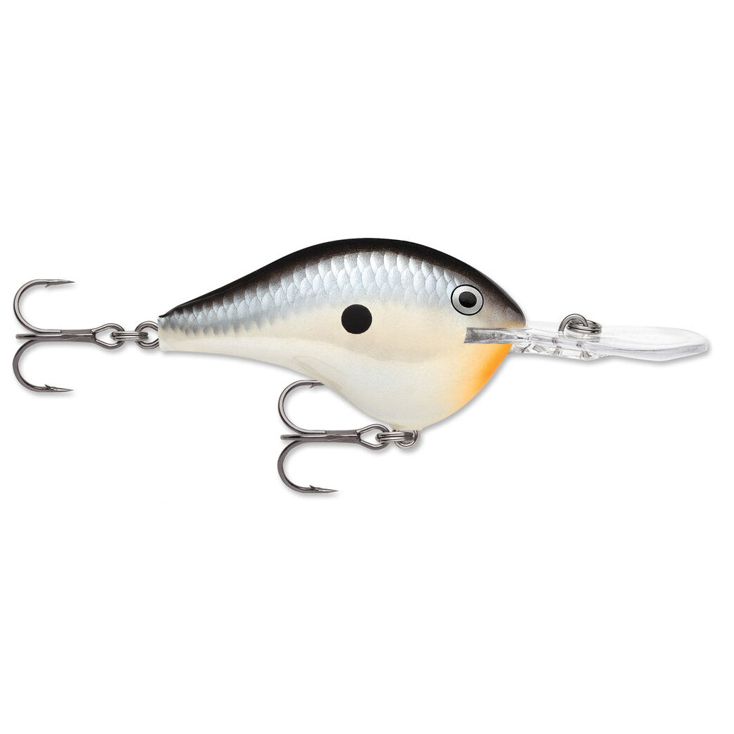 Rapala DT 14 Crankbait fishing lure with a silver and black scaled body, two treble hooks, a small black spot on the side, and a clear plastic diving lip.
