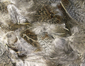 Hareline Premium Hungarian Partridge Feathers