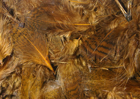 Hareline Premium Hungarian Partridge Feathers