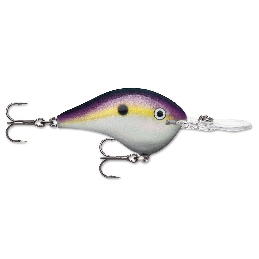Rapala DT 14 Crankbait fishing lure with a deep water design, featuring a purple and yellow shad pattern and two sharp treble hooks for effective fishing tackle.