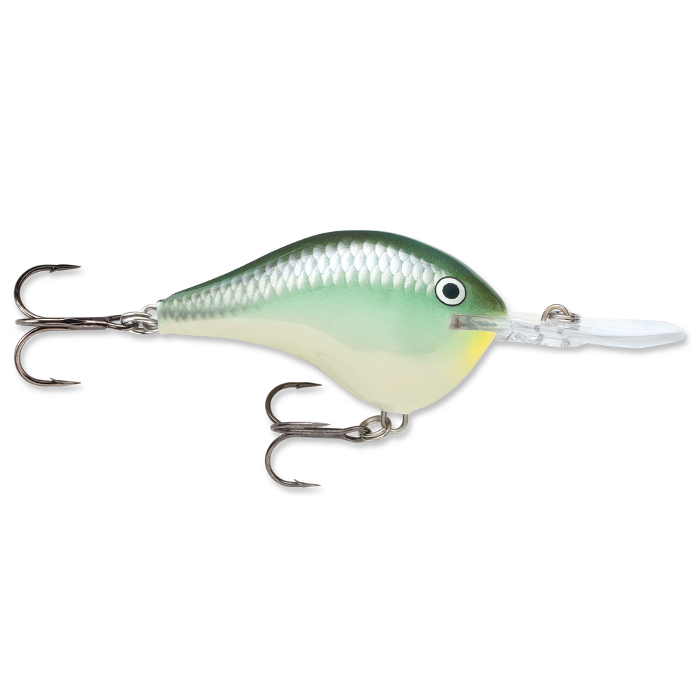 Rapala DT 14 Crankbait fishing lure with green and white body, detailed scale pattern, two sharp treble hooks, and clear deep-diving lip designed for effective fishing tackle use.
