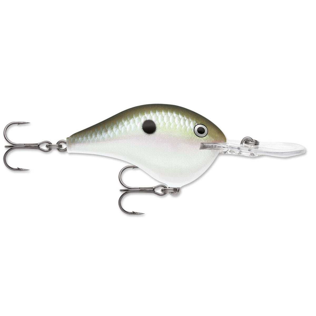 Rapala DT 14 Crankbait fishing lure with a greenish top, white belly, detailed scale pattern, two treble hooks, and a clear diving lip for deep water fishing.