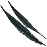 Hareline Ringneck Pheasant Tails