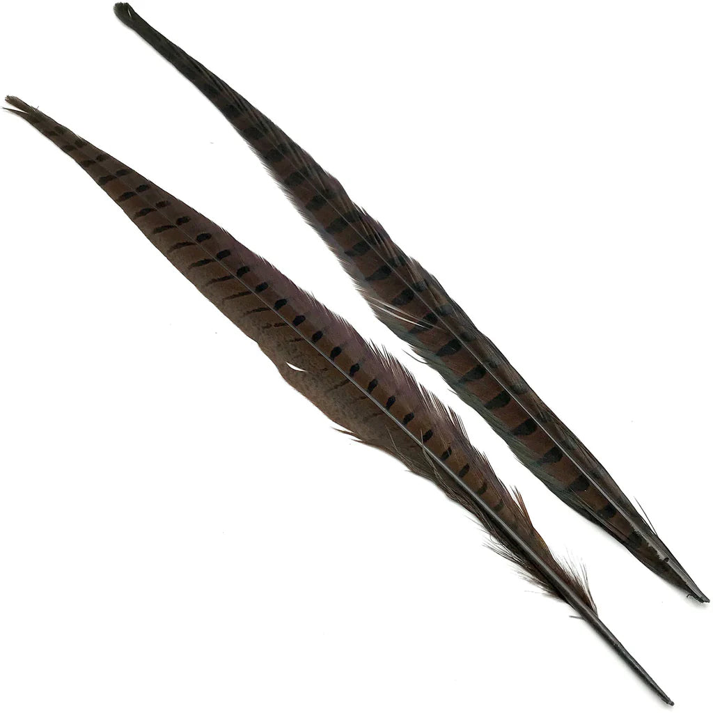 Hareline Ringneck Pheasant Tails