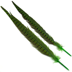 Hareline Ringneck Pheasant Tails