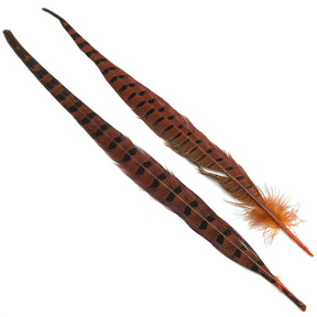 Hareline Ringneck Pheasant Tails