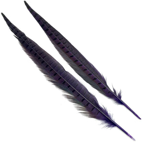 Hareline Ringneck Pheasant Tails