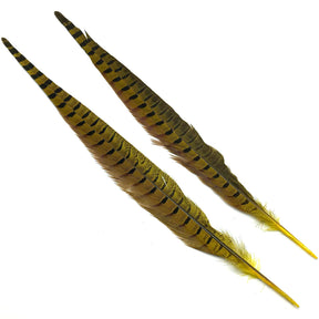 Hareline Ringneck Pheasant Tails