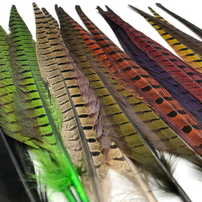 Hareline Ringneck Pheasant Tails