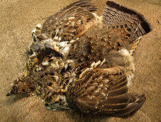 Nature's Spirit Ruffed Grouse Skin
