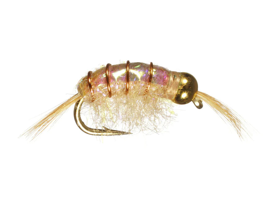 Close-up of BH Scud #14 fishing lure with translucent segmented body, gold bead head, fine copper wire ribbing, and delicate tail fibers, designed for fly fishing.