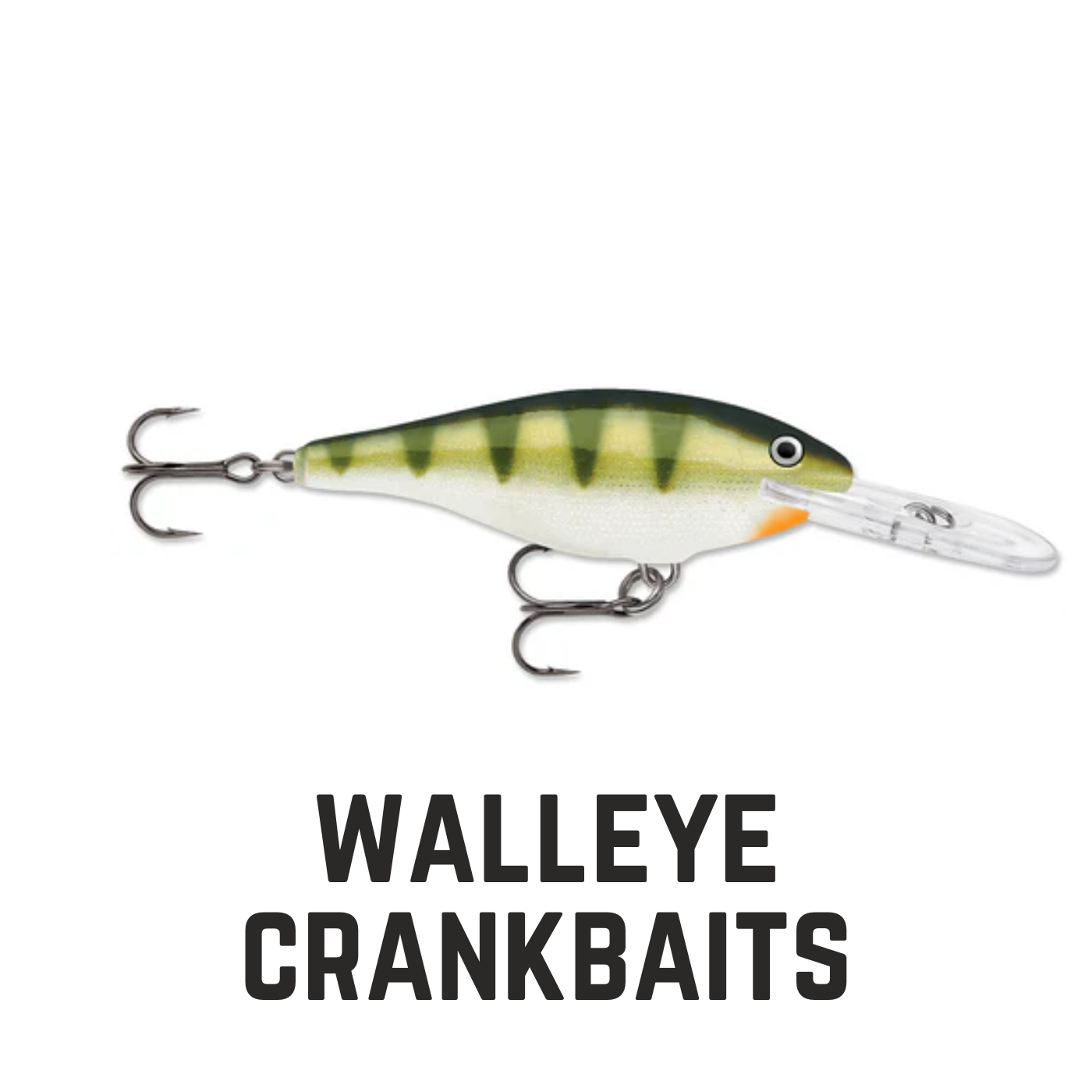 perch colored crankbait with text overlay walleye crankbaits