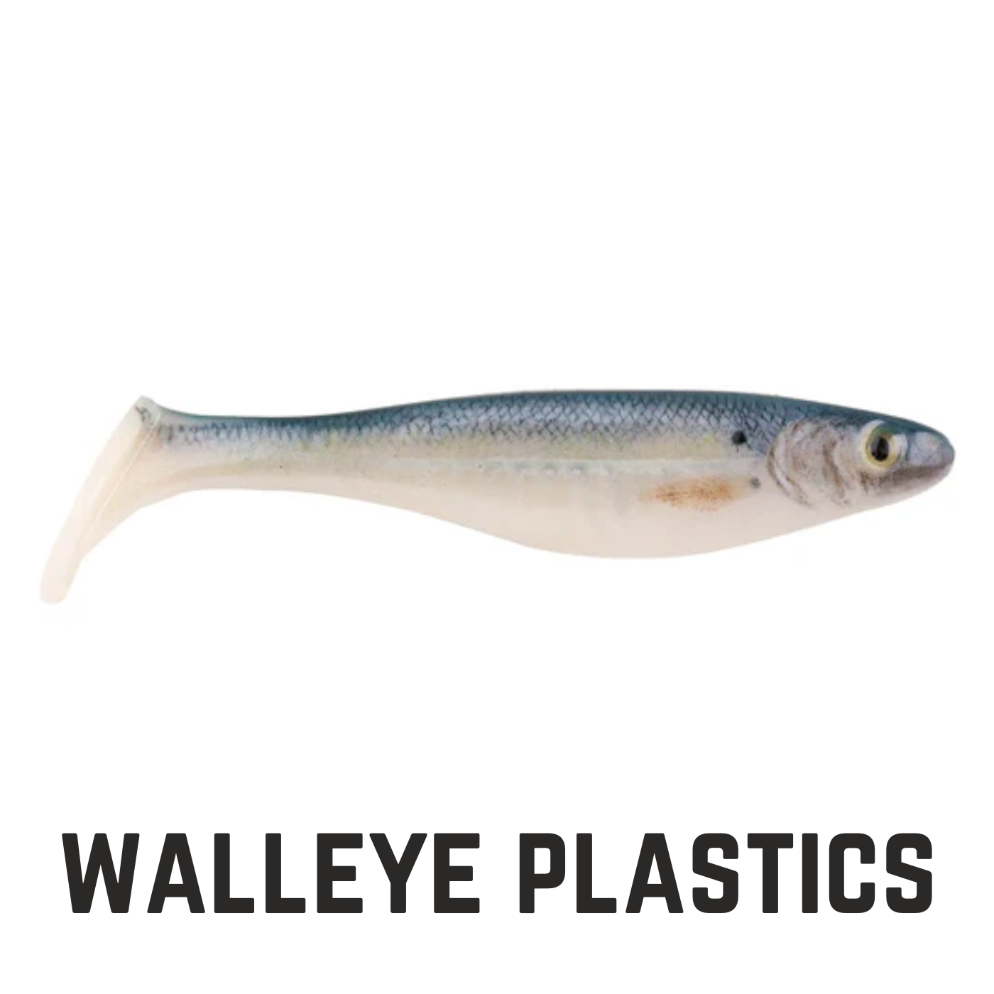 realistic minnow lure with paddle tail with text overlay walleye plastics