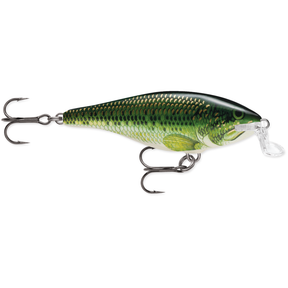 Rapala Shallow Shad