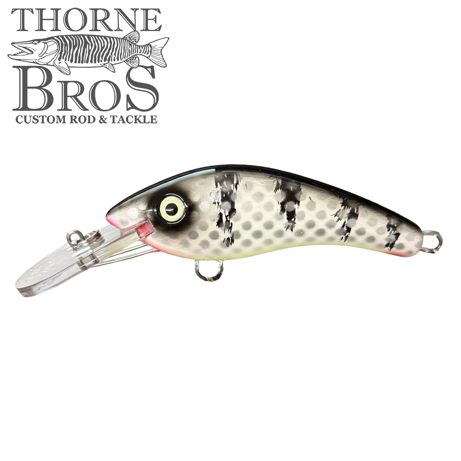 Blue Water Baits 5" K.O. Shad
