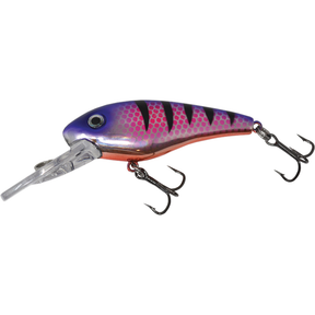 X Tackle Crankbait - XT Shad