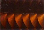 WTP Lure Tape-Squiggles (3 Pack)