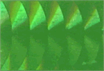 WTP Lure Tape-Squiggles (3 Pack)