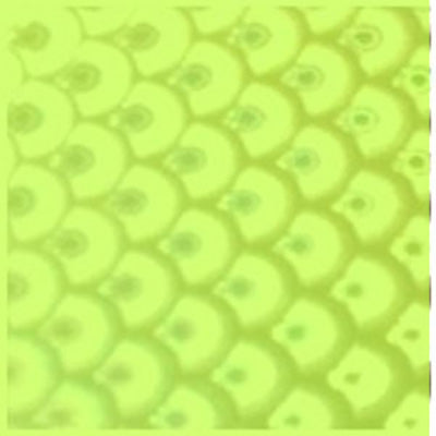 WTP Lure Tape-Large Scales (3 Pack)