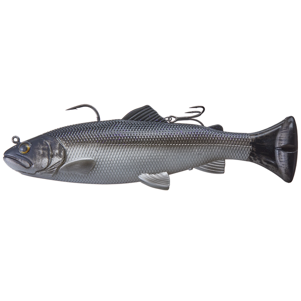 1_1f9b4a5d-d146-4f75-ae7f-