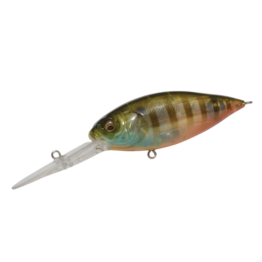 Megabass Megabass
