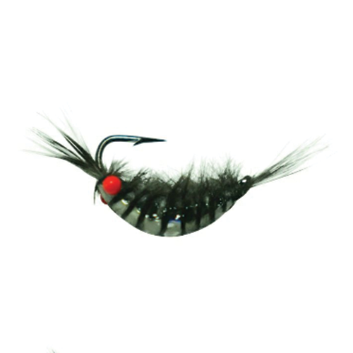 Kenders Tungsten Red Eye Shrimp Jig