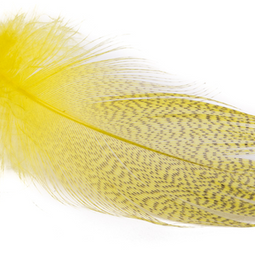 Wapsi Mallard Barred Flank