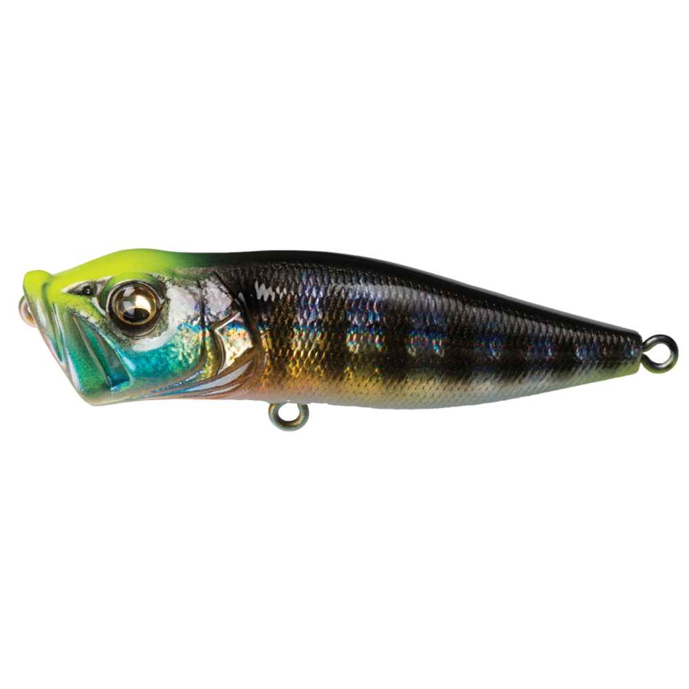 Megabass Pop-X