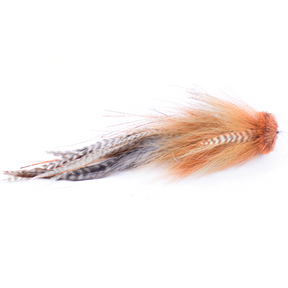 Streamer King Articulated Buford